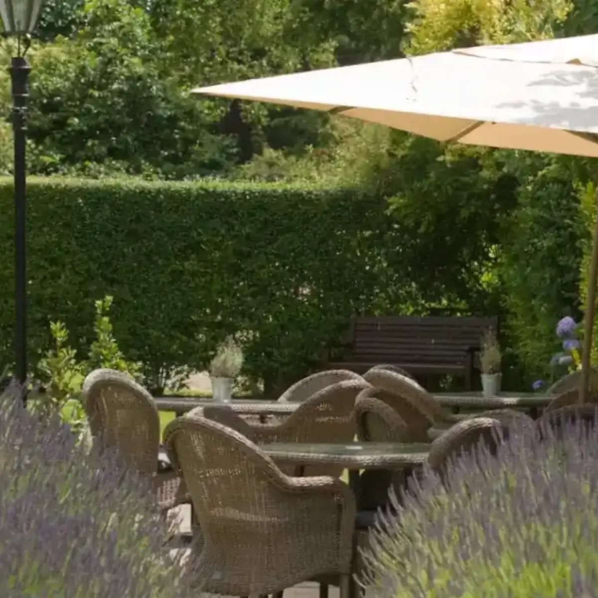 A garden scene featuring a table and chairs with an umbrella.