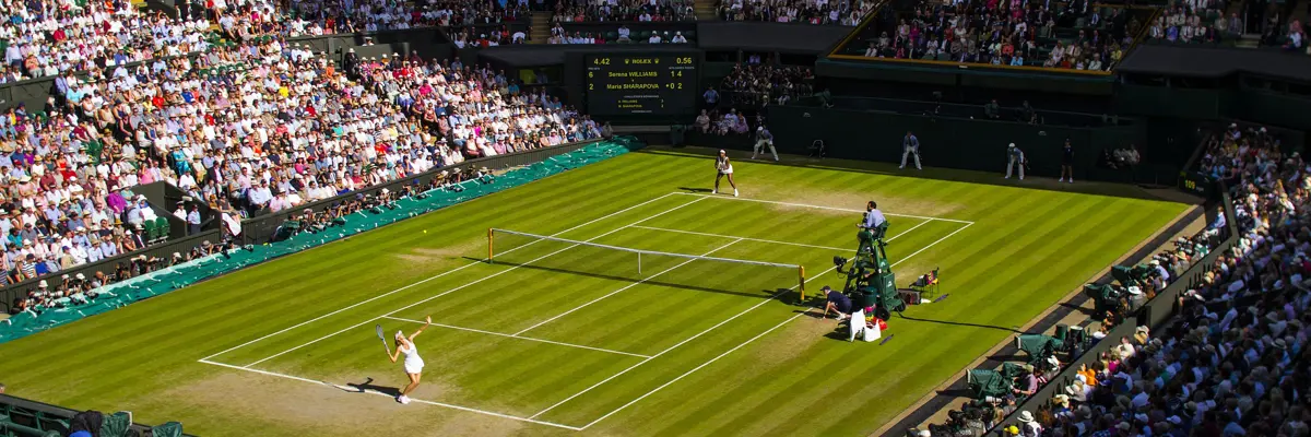 Aerial view of a group of individuals observing a tennis match.