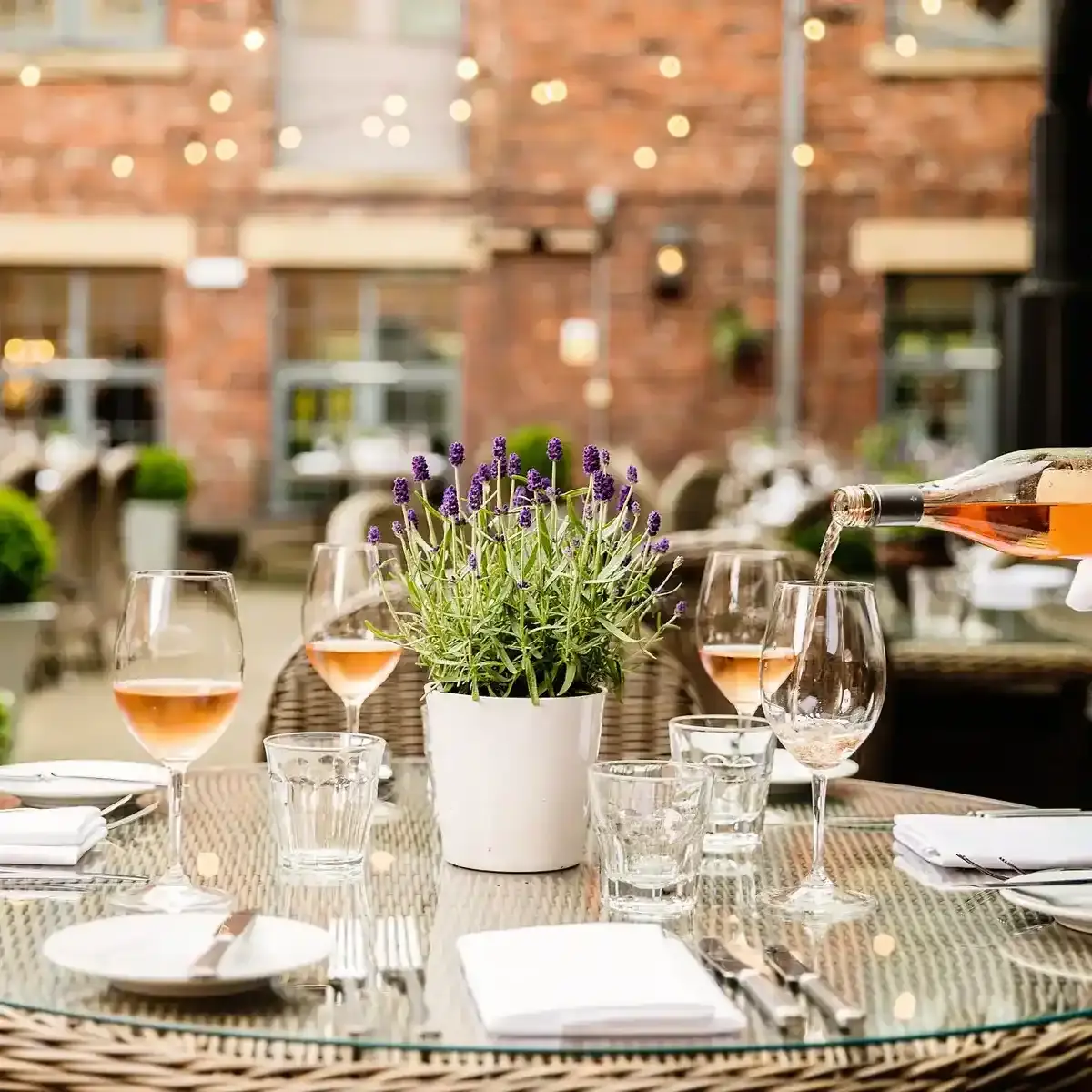 HDV rose wine with purple plant in flower pot on table