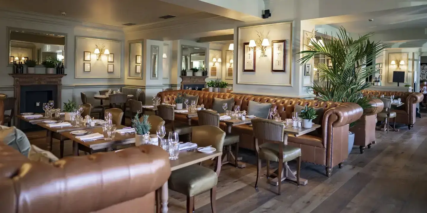 HDV Harrogate Bistro (2) with long brown sofas and big green plant