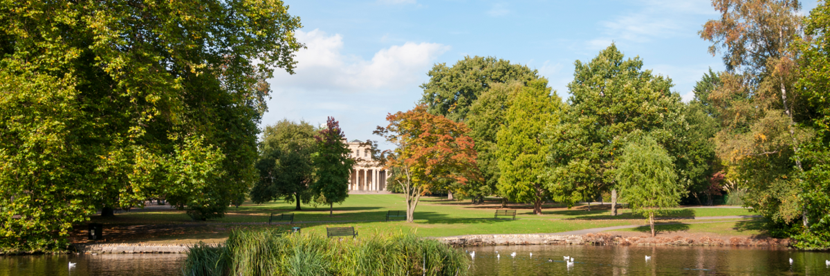 A park featuring a serene pond with a prominent building in the background.