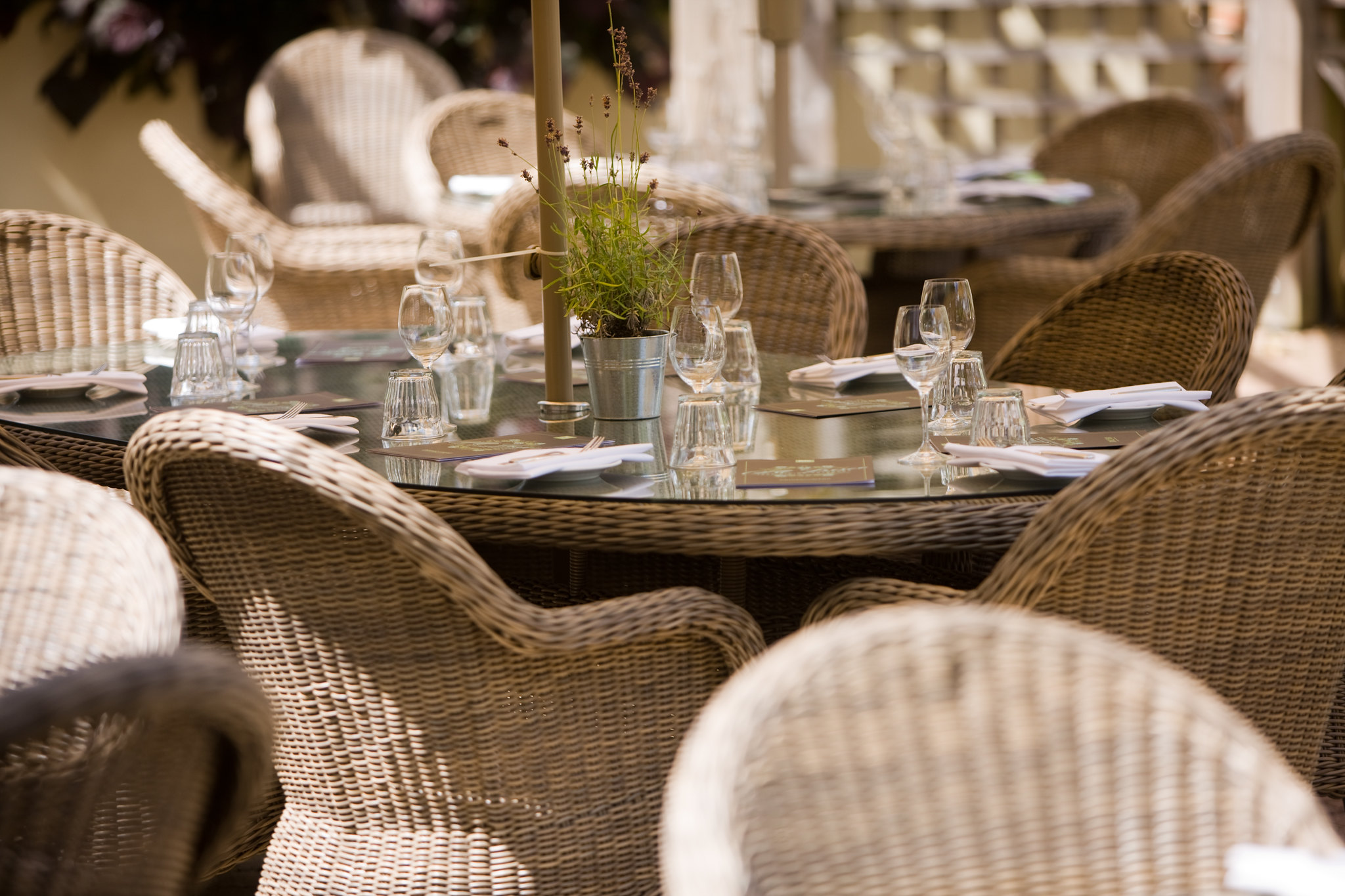 A table displaying an assortment of glasses.