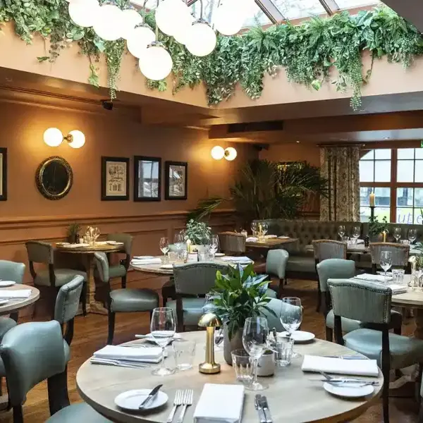 Dining room featuring tables, chairs, foliage and a skylight.