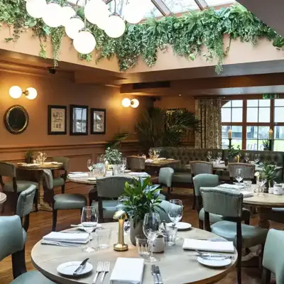 Dining room featuring tables, chairs, foliage and a skylight.