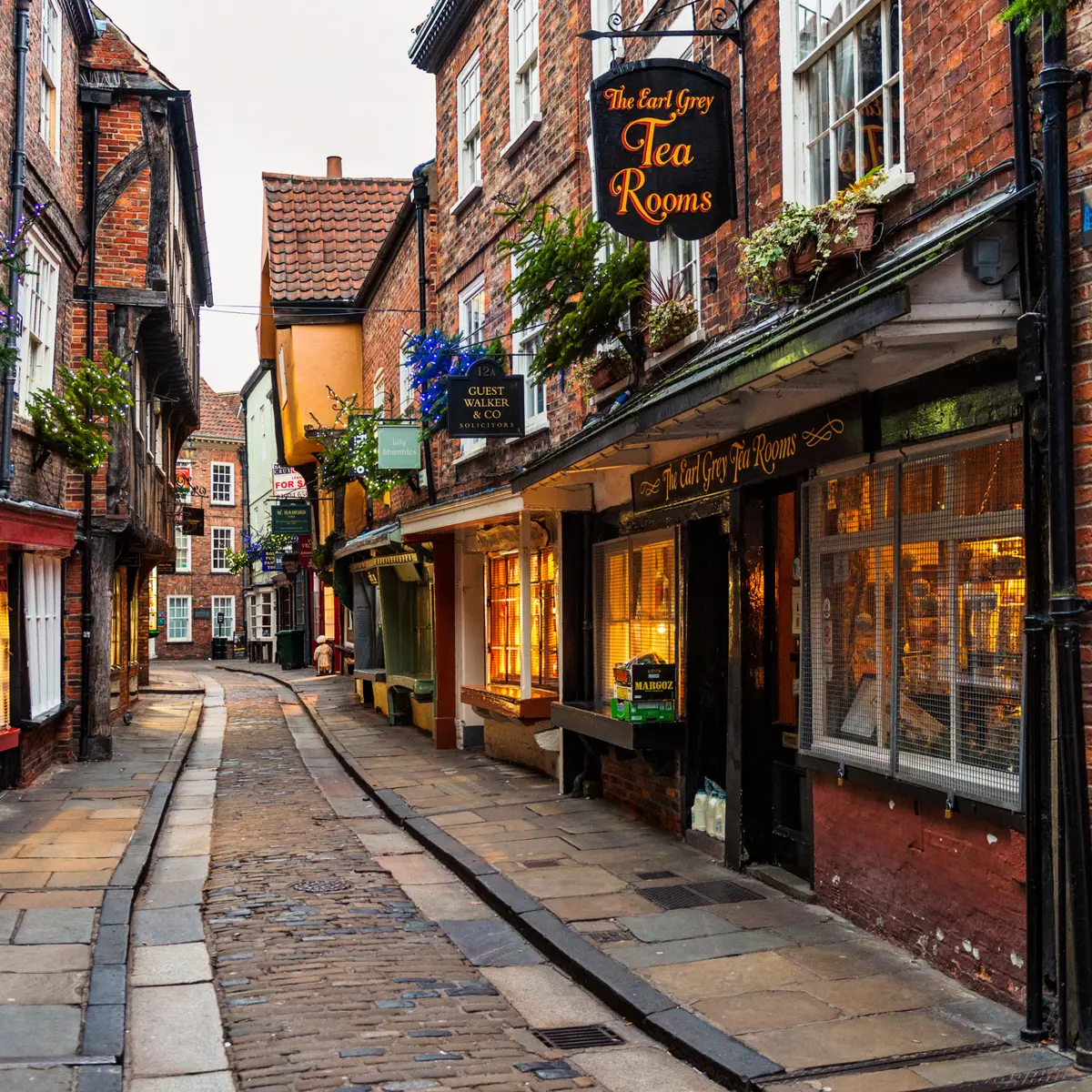 A charming street adorned with quaint shops, featuring a picturesque cobblestone pathway.