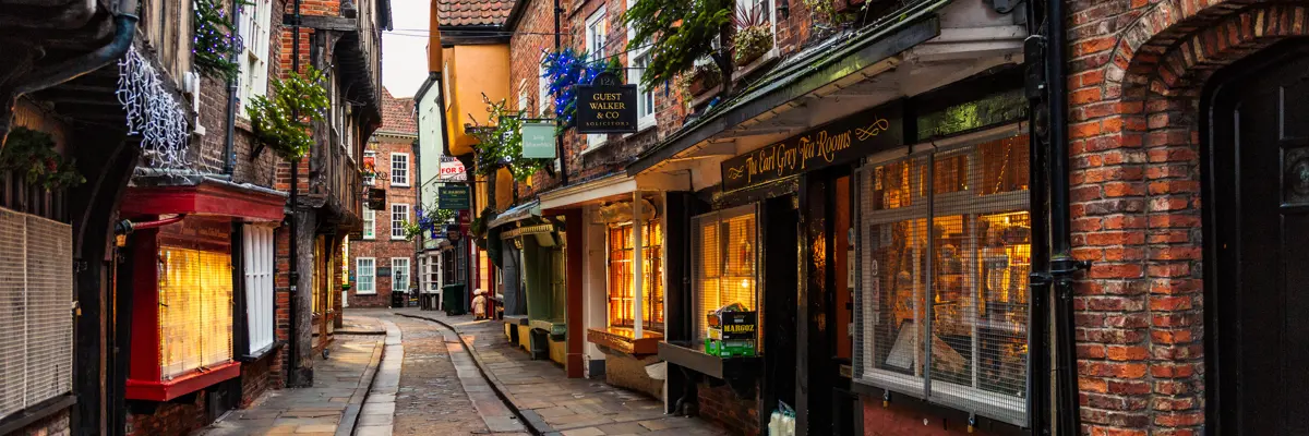 A charming street adorned with quaint shops, featuring a picturesque cobblestone pathway.