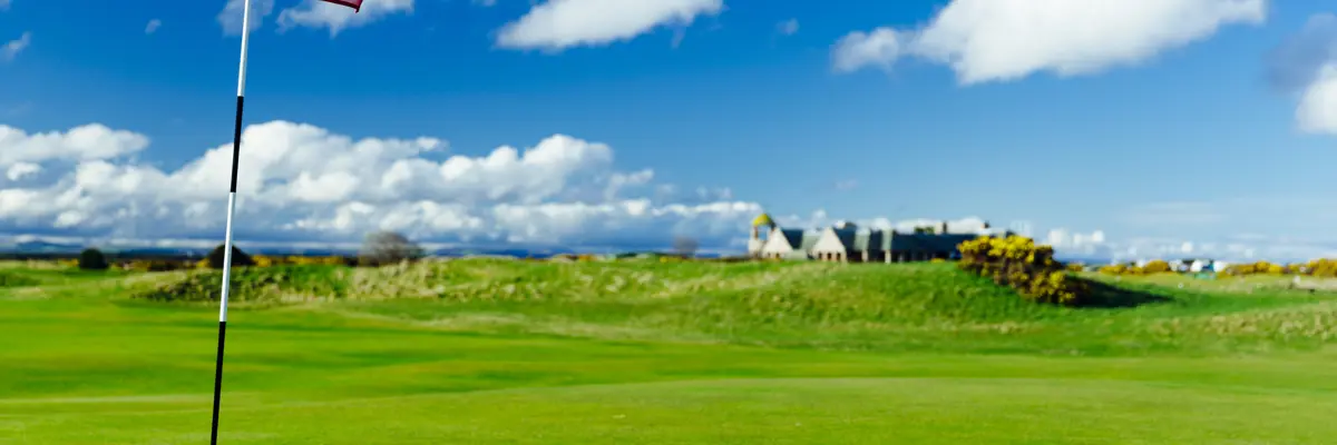 A golf flag with beautiful green grass and houses in the distance.