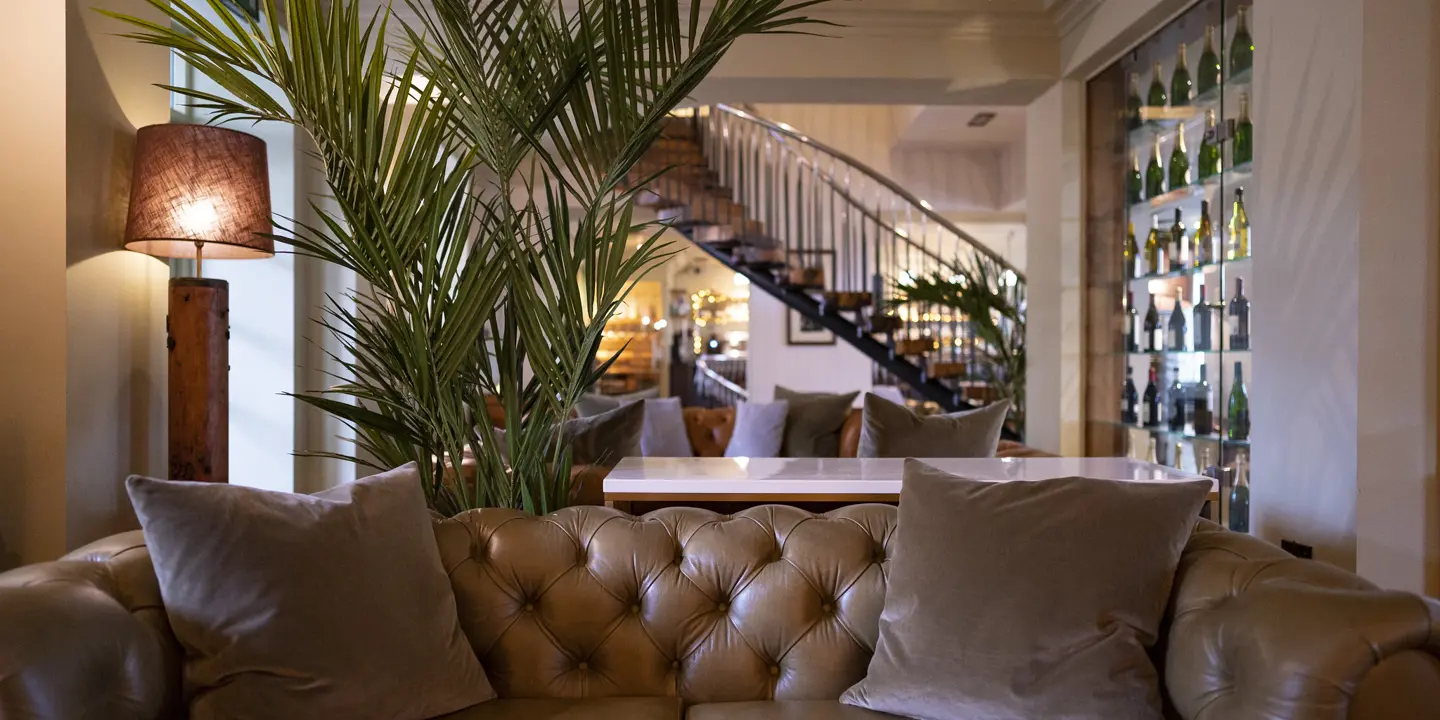 An elegantly furnished living room adorned with a lush plant.