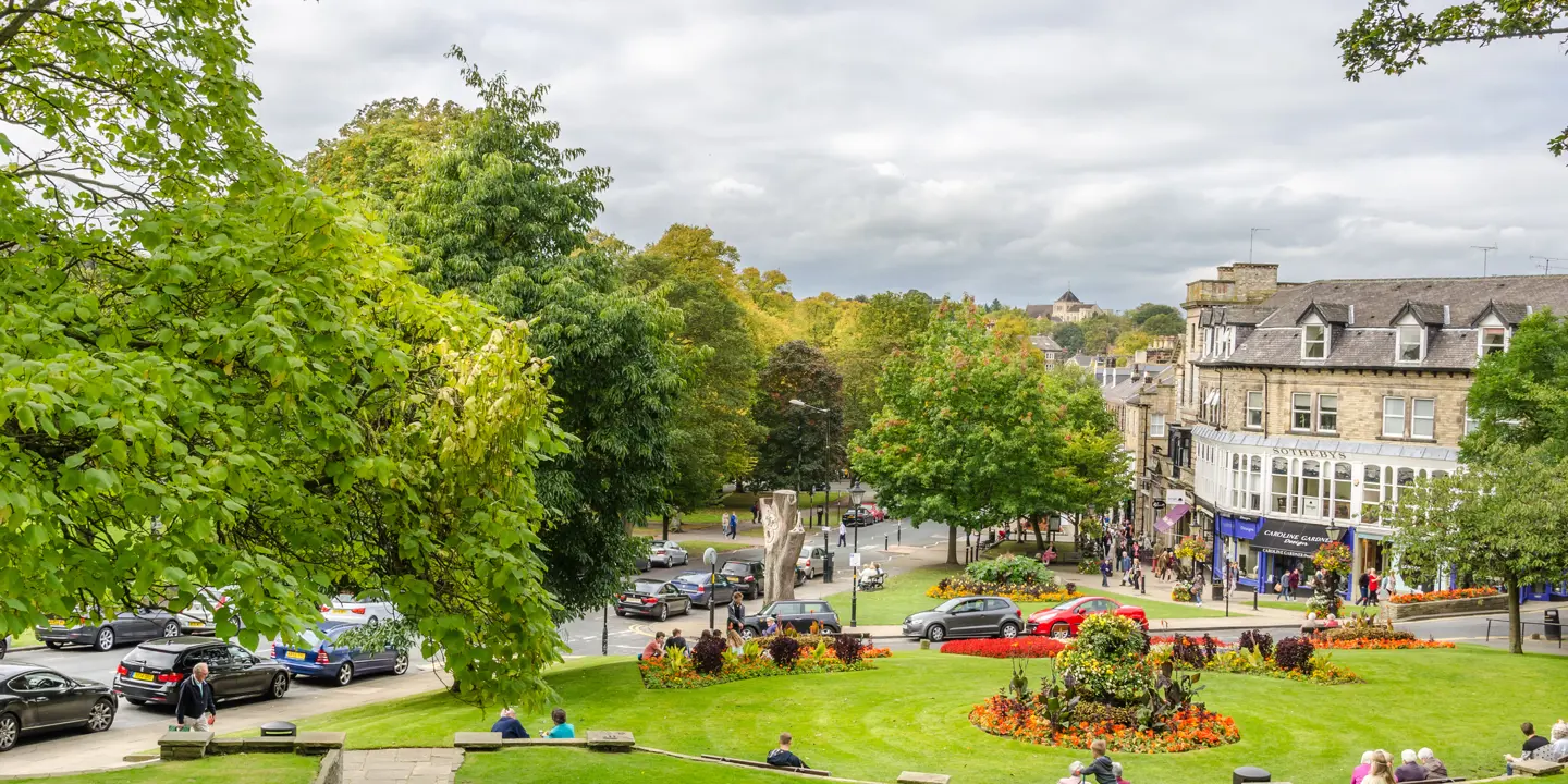 A bustling park scene filled with numerous individuals enjoying the outdoors.