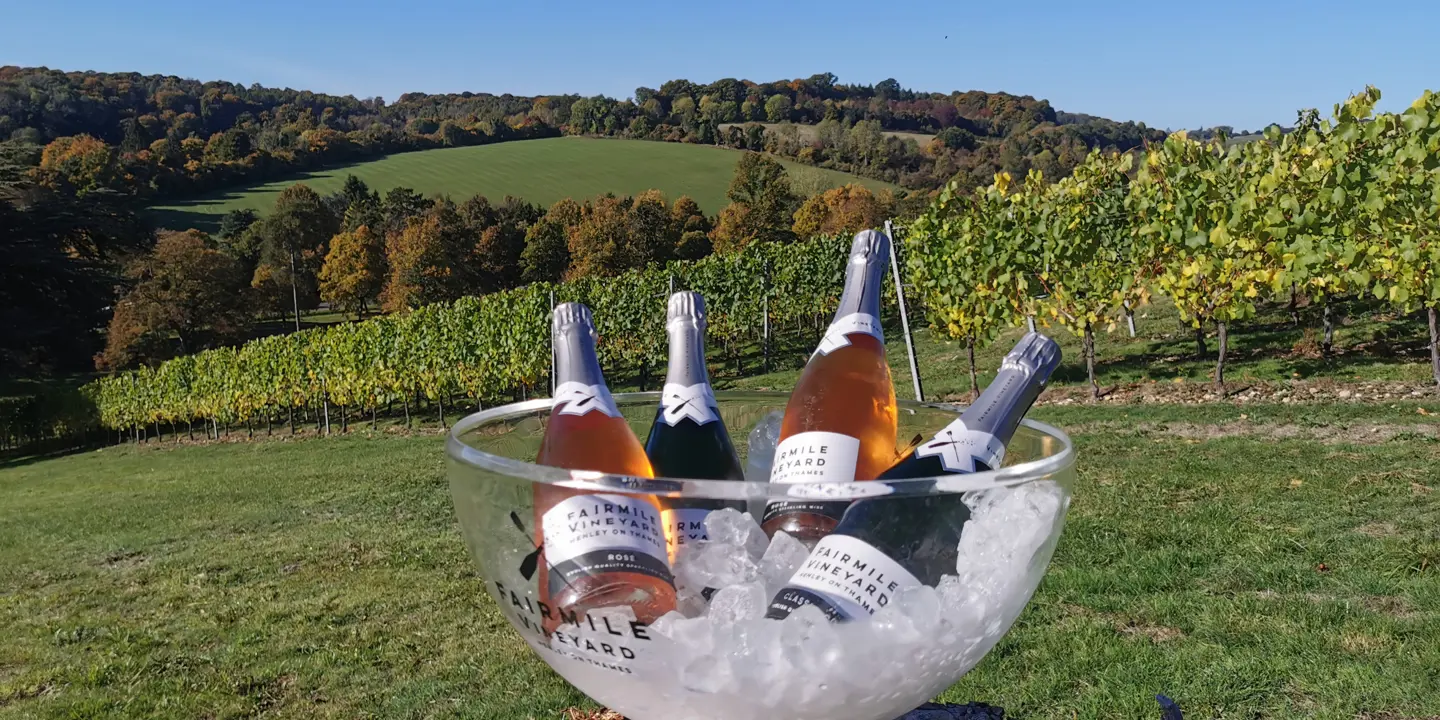 Fairmile Vineyard